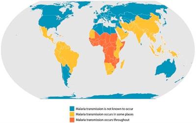 Quest for malaria management using natural remedies